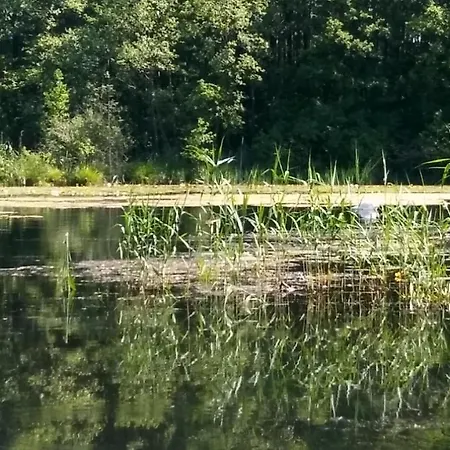 Otel Cafe Praelank Neustrelitz