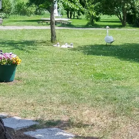 Cafe Praelank Neustrelitz